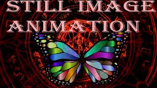 butterfly Photoshop after effects animation tutorial