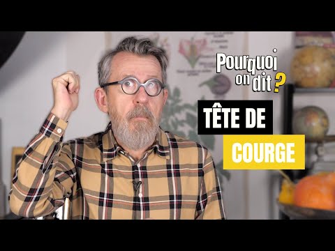 🤔 Pourquoi on dit... "Une tête de courge" ?