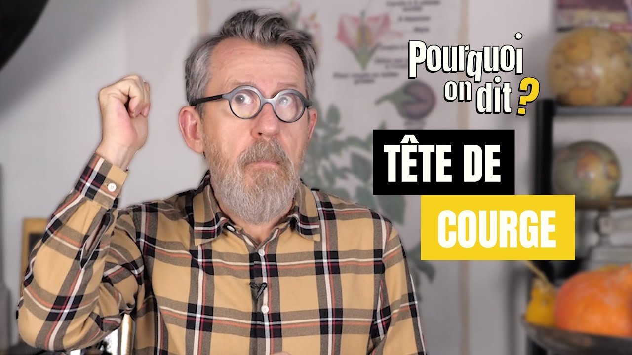 🤔 Pourquoi on dit… "Une tête de courge" ?