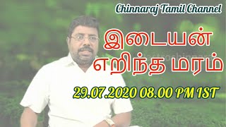 இடையன் எறிந்த மரம் ! by Dindigul P.Chinnaraj Astrologer INDIA