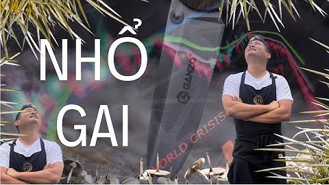 Liệu công việc của bạn có Ổn Định ? Tâm ở Perth, cuộc sống ở Úc