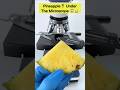 Surprisingly look pineapple under microscope 😱🔬 #short #facts #microscope #pineapple #shockingfacts
