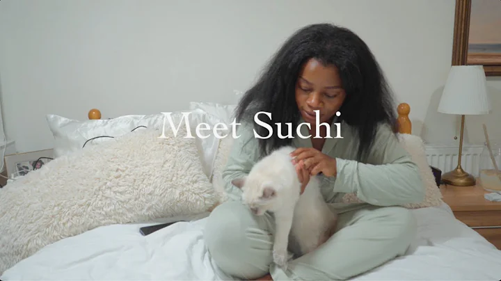 Video 11489711: cat feeding, kitten adoption, litter