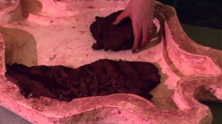 Cary Esser demonstrates press molding