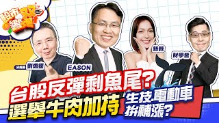【股市雙響炮】台股反彈剩魚尾?選舉牛肉加持 生技.電動車拚補漲?「2022.11.21」