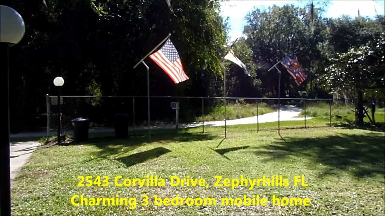 2543 Corvilla Dr Zephyrhills FL Video Tour by Top RE/MAX Realtors