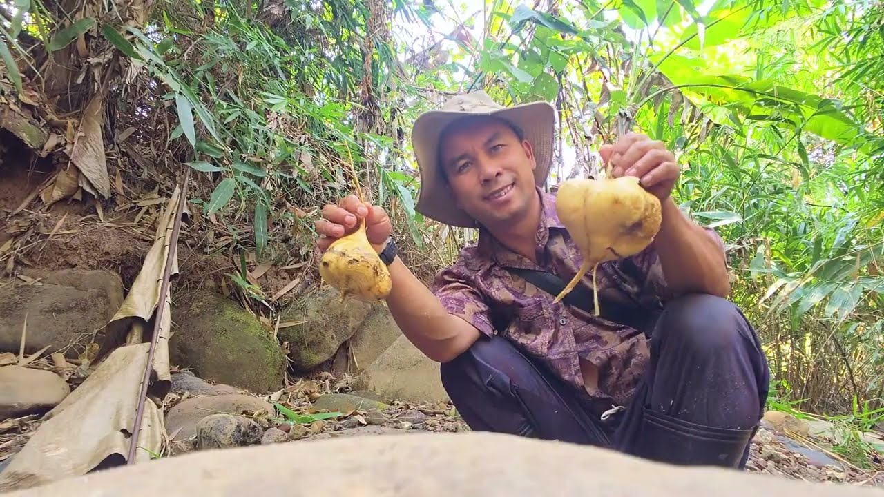 hnub no tuaj tim teb os 30/1/2026