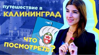 Калининград 🧳 Что посмотреть и куда сходить