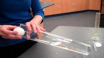 Egg Density Lab part 1.MP4