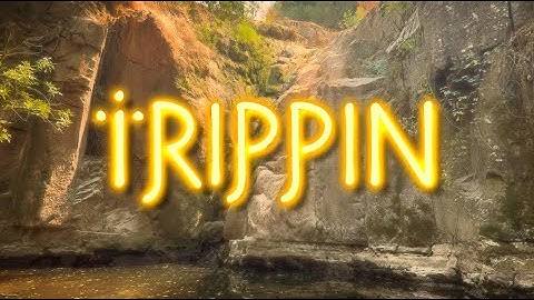 Bunny - Trippin ft. Kaizen (Official Music Video)