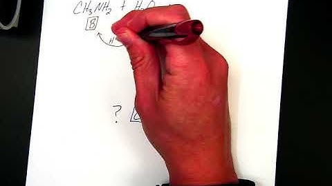 AcidBase Foundations (CH3NH2 + water)