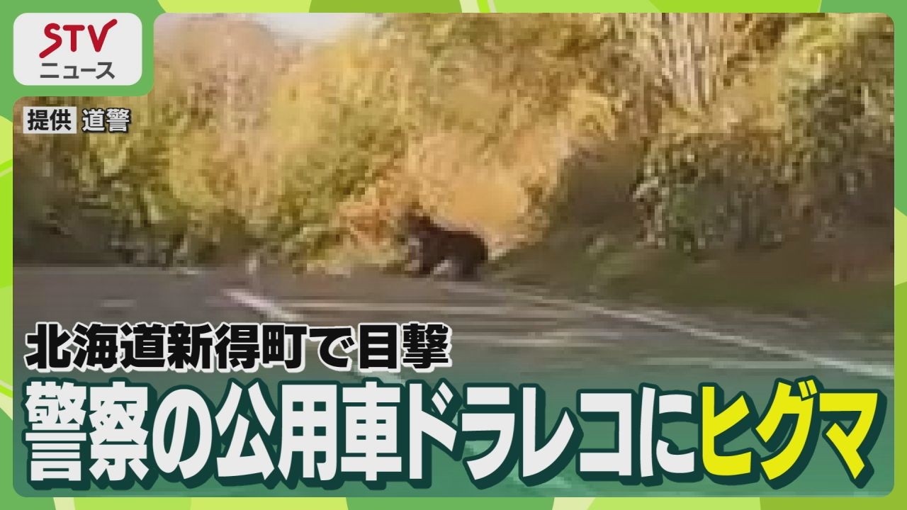 クマが道路に飛び出して… 警察の公用車ドラレコに映る 体長約1.5
