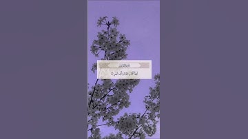 سوره القدر بصوت القارئ ماهر المعيقلي