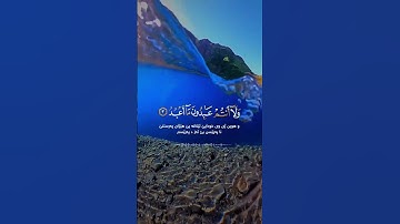 رعد الكردي - سورة الكافرون