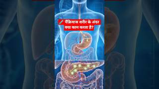 🧪 What Happens Inside Your Pancreas? | 3D Medical Animation#sciencefacts #humanbody #youtubeshorts