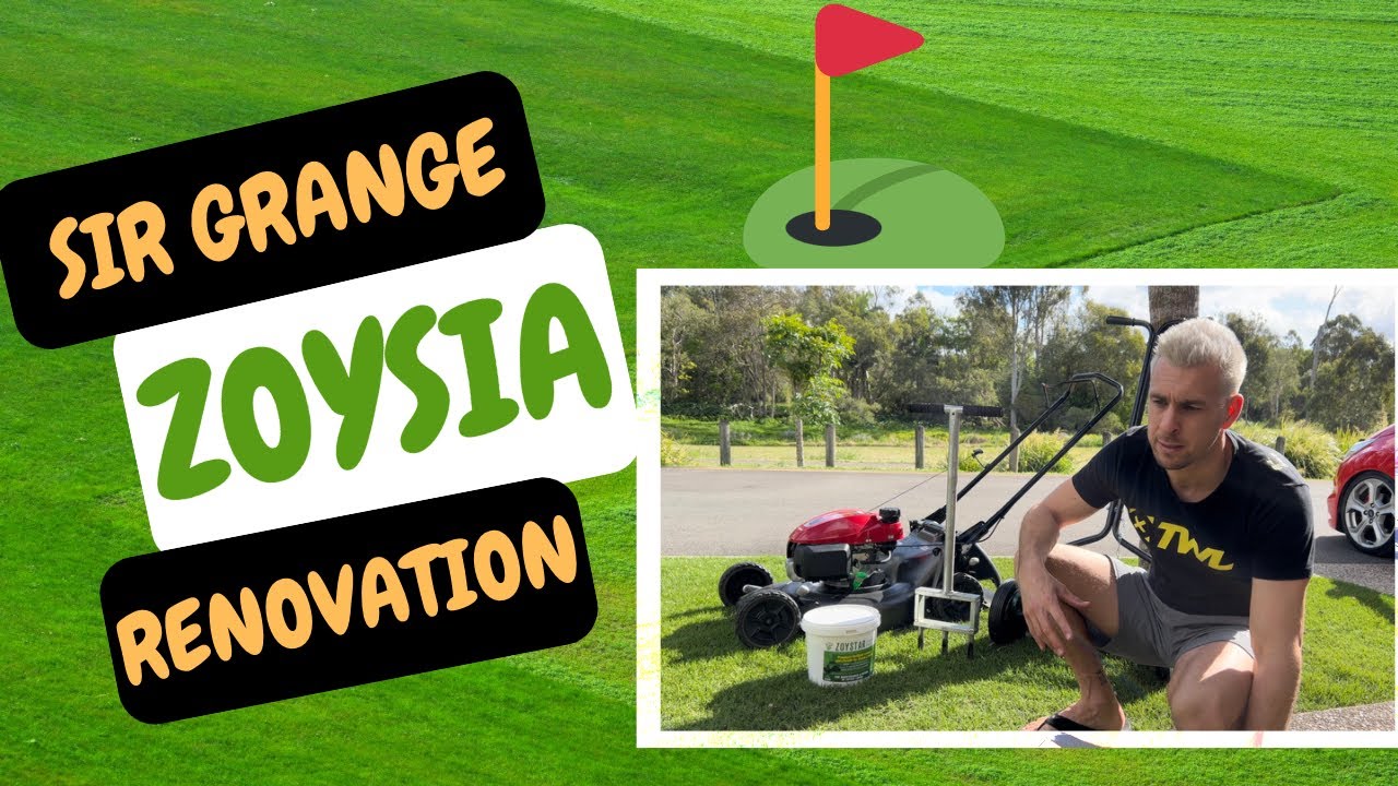 Sir Grange Zoysia Renovation (SCALP, SCARIFY & CORE AERATION) YouTube