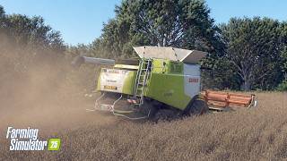 A Very Dusty Dry &amp; Windy Oilseed Rape Harvest | FS25
