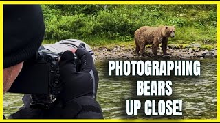 Alaskan Brown (Grizzly) Bear Photography  Walking with Bears Up Close  Remote Wilderness Camping
