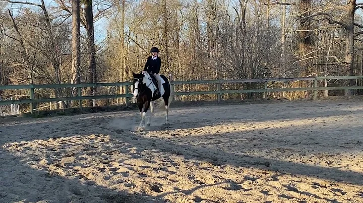 APHA January e-show Allison Goldstein/A Hotroddin ...