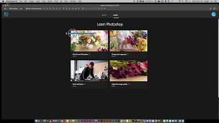 Could not complete your request because a SOFn, DQT, or DHT JPEG marker is missing before a JPEG SOS screenshot 3