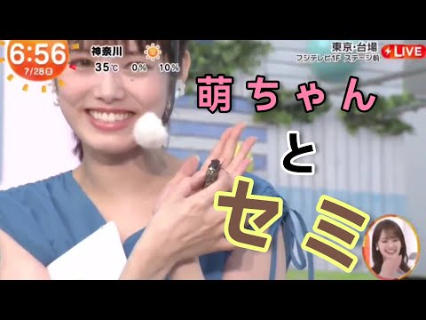 【谷尻萌・めざましテレビ】セミと一緒に お天気お伝え🌞