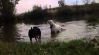 nJoY n Happiness - soundtrack of (cover Klingande - Jubel) screenshot 2