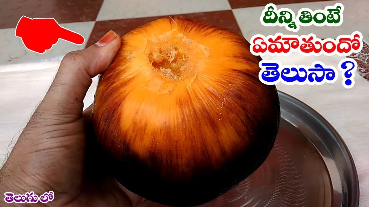 దీన్ని తింటే ఏమౌతుందో తెలుసా ? || About riped toddy palm fruit