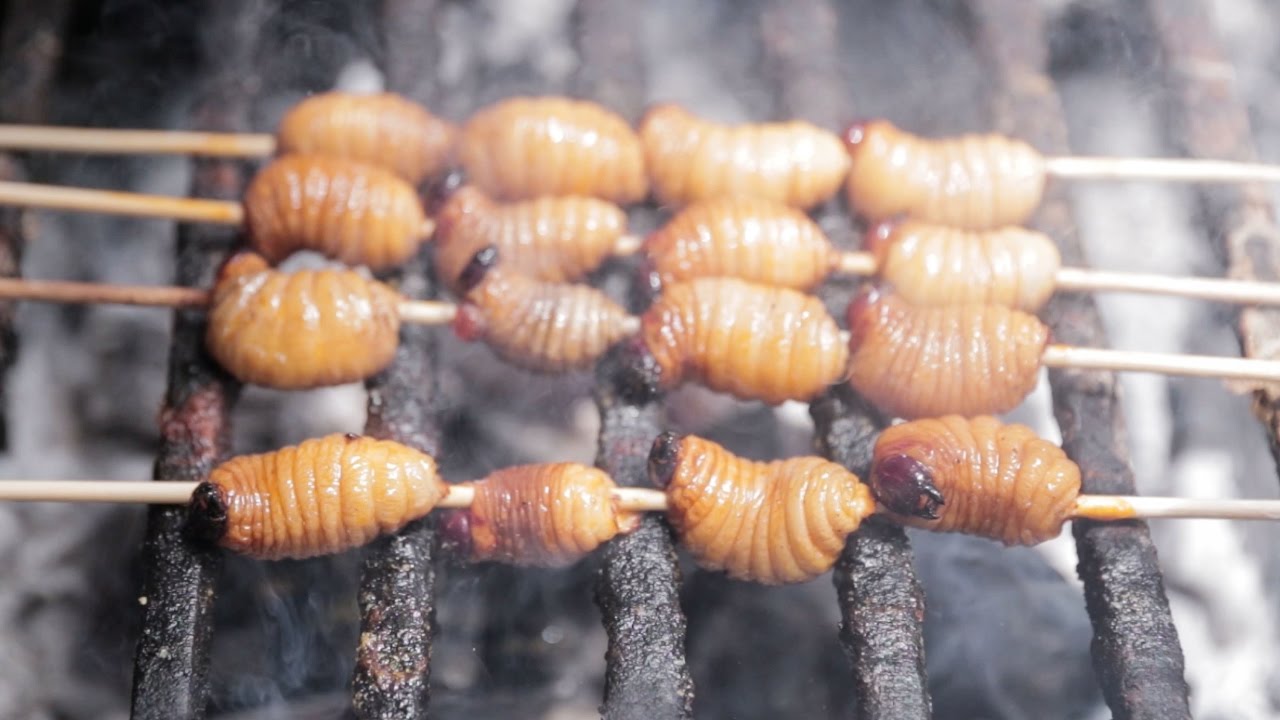 Let's Eat Grubs! Eating Beetle Larva in the  