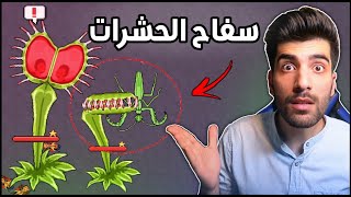 مصيدة الحشرات? حرب النمل | Pocket Ants