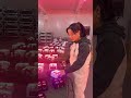 #dancelights #light #eventlighting #ledlights #eventlights #lightingdesigner #lightingfactory