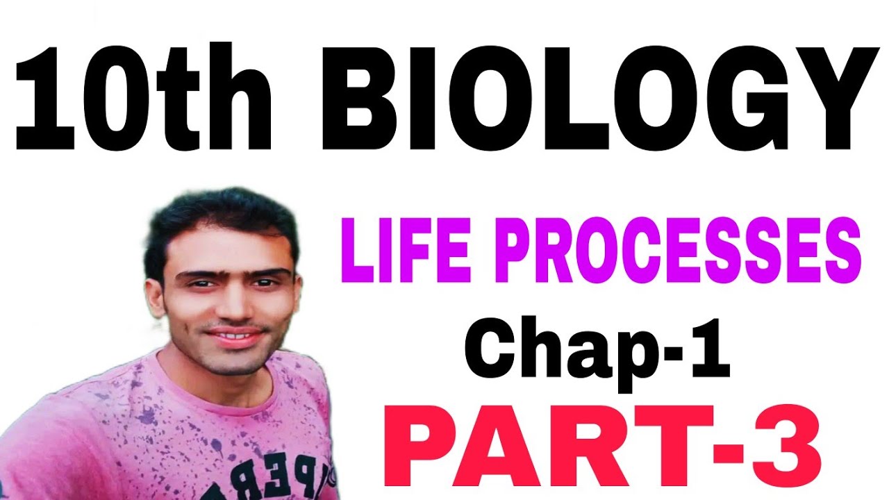 LIFE PROCESSES (PART- 3) CBSE class- 10th Biology. #EjotyaScience - YouTube