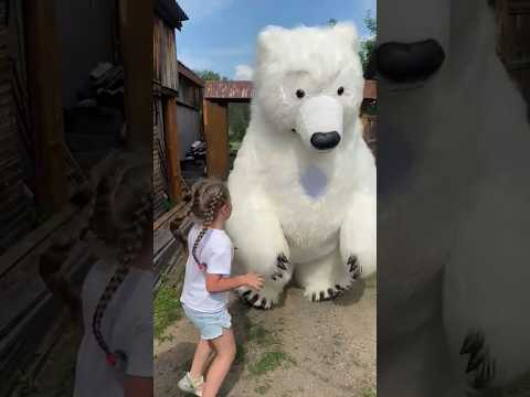 Поздравление от белого медведя / Большой мишка на день рождения #shorts #белыймишка