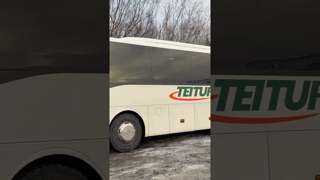 Fridheimar, a greenhouse tomato farm in Iceland