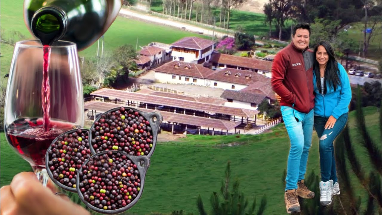 Hacienda LUJOSA y productores de VINO de mortiño 🫐 🍷(Sigchos) Josué y Elie