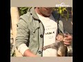 قرد المكاك يرفض المغادرة فيضطر الشاب أن يكون بابا له