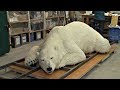 В Японии сделали белого медведя, невероятно похожего на настоящего (новости)