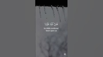 القرآن الكريم - محمد صديق المنشاوي #اكسبلور #المصحف #quran #راحة_نفسية #قرآن #لايك #حالات_واتس