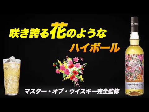 マスター・オブ・ウイスキー静谷和典さん完全監修。アマハガン、フラワーブーケはハイボールがオススメです。【限定ウイスキー】 - YouTube