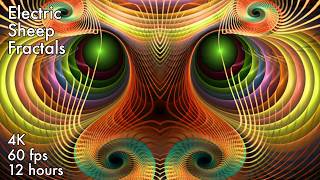 Electric Sheep Fractals 4K 60fps 12 hours ambient animation