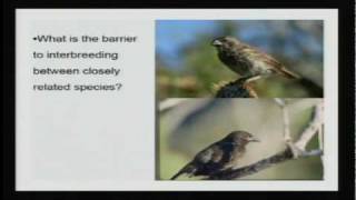 ⁣Darwin's Legacy | Lecture 5