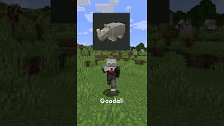 Mini Mod Reviews - Goodall #minecraft #mod