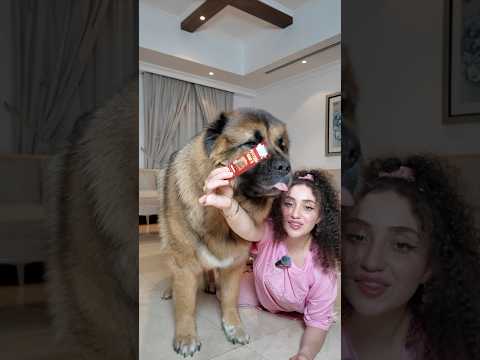 شفتو فلوق لوسي ودوشكا ازا اي حطو