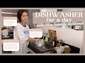 DISHWASHER FOR A DAY + ANSWERING PALABAN QUESTIONS | Francine Diaz