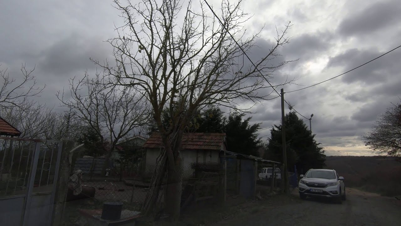 Küçük Sinekli Sokaklarında bir gün, Küçük Sinekli Mah No: 38545, 34594 Silivri/İstanbul GH010583