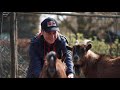 The Triathlon Legend, Mentor And Friend That Inspired The Marten Van Riel Story