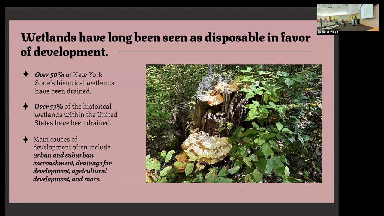 Wetlands, Water, and Wildlife replay (first presenter) : r/Syracuse