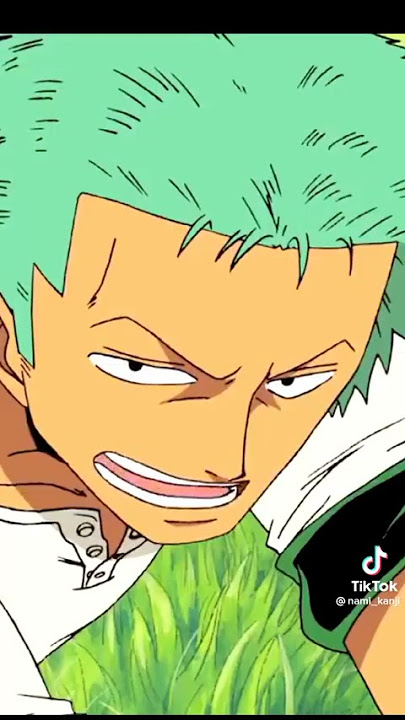 Zoro One Piece Icons  Olhos de anime, Anime engraçado, Anime