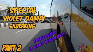 Part 2!! Berikut Violet Damai silverking || Lanjut Ke Part 2 bosku!!