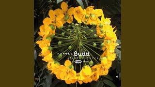 Video thumbnail of "Harold Budd - Faraon (2013 Remaster)"