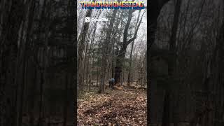 Trevor Drops A Dangerous Tree!